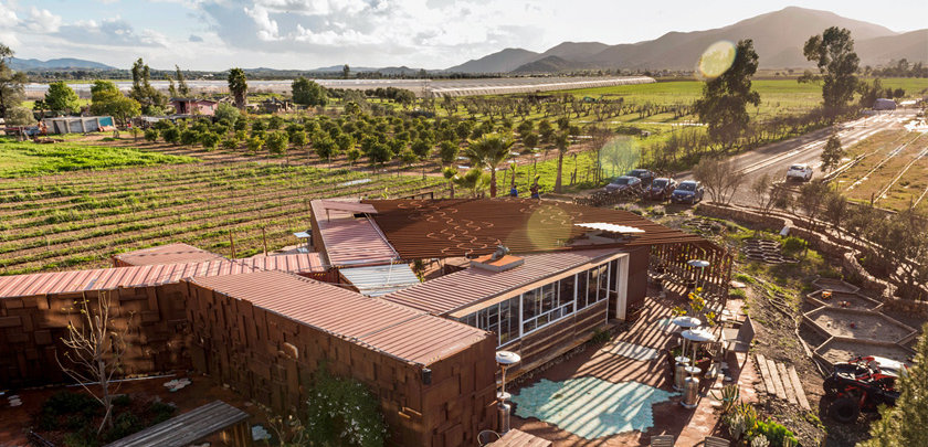 agua-de-vid-valle-de-guadalupe