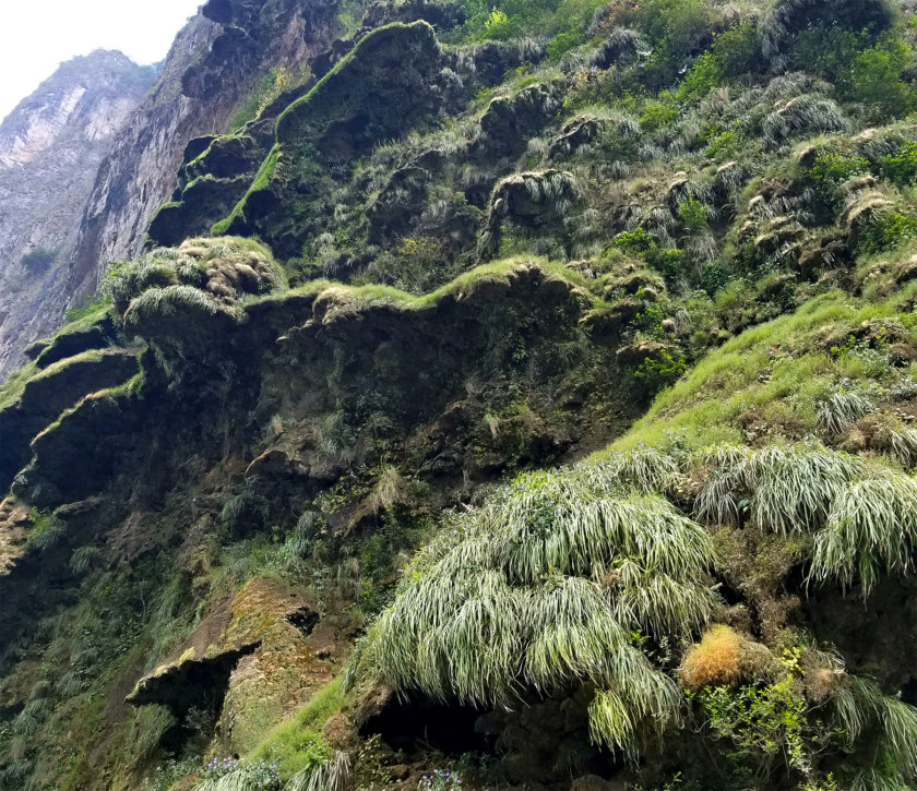 arbol-de-navidad-sumidero