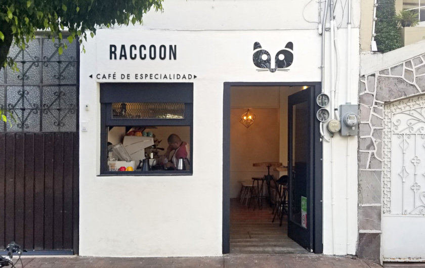 cafe-raccoon-escandon