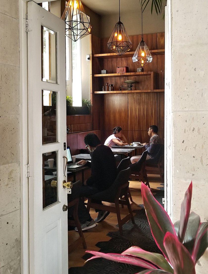 cafe-san-angel-mexico