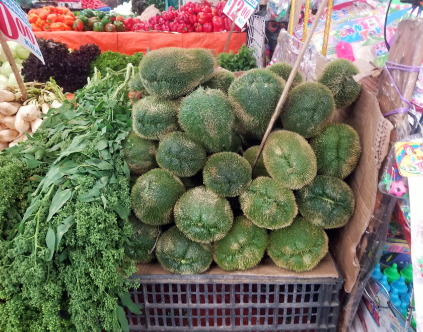 chayote-mexique