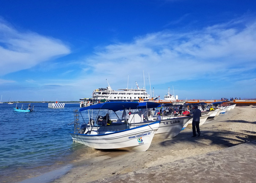 excursion-la-paz-baja-california