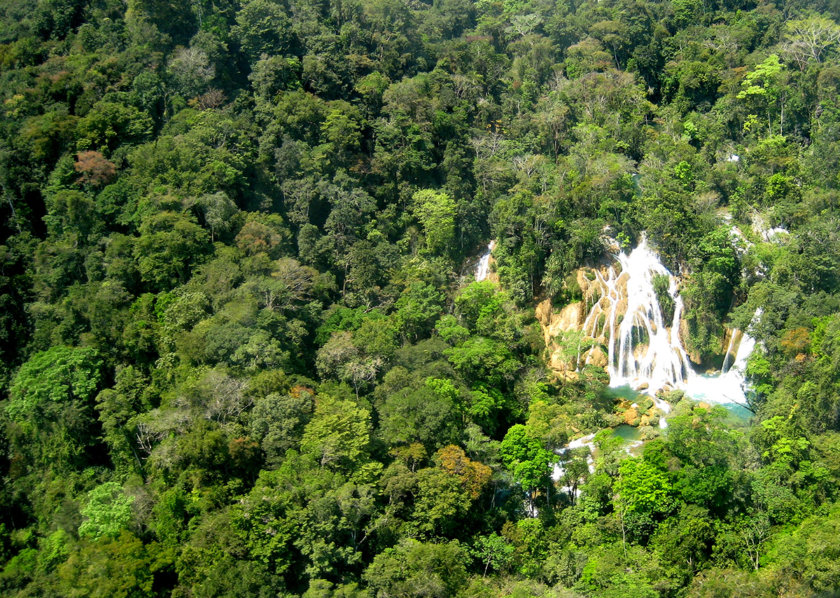 selva Lacandona Chiapas