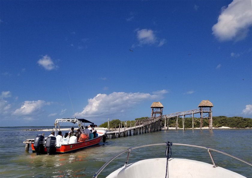 isla pajaros holbox