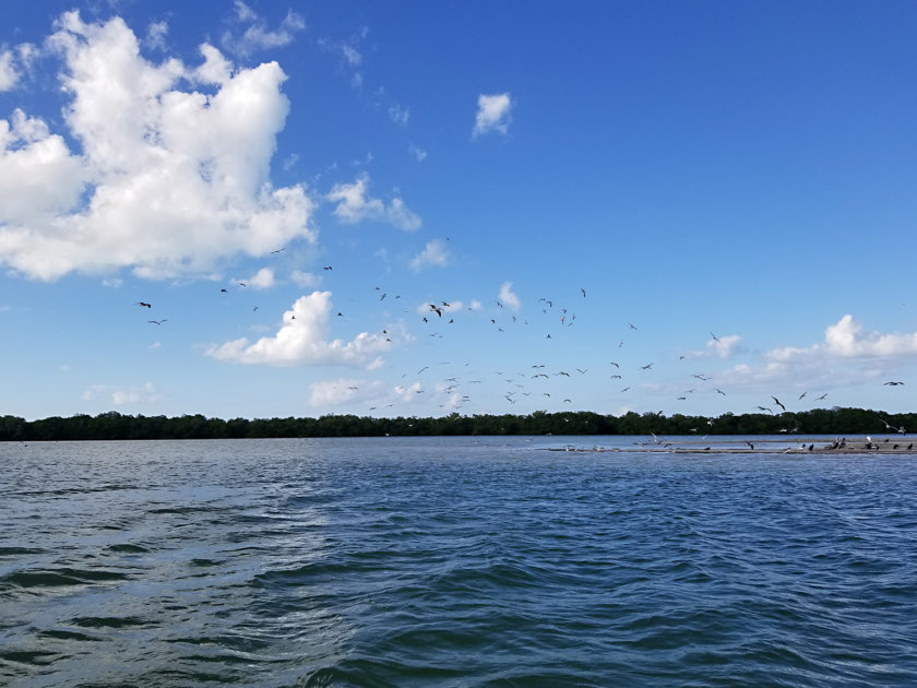 isla-pasión-holbox