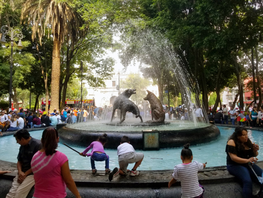 jardin centenario coyoacan