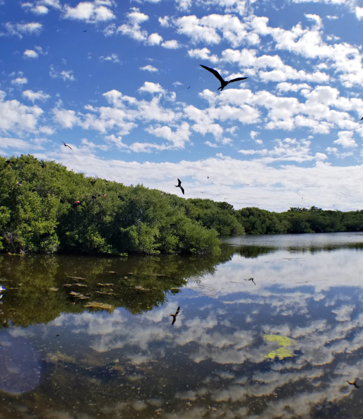 laguna-azul-contoy