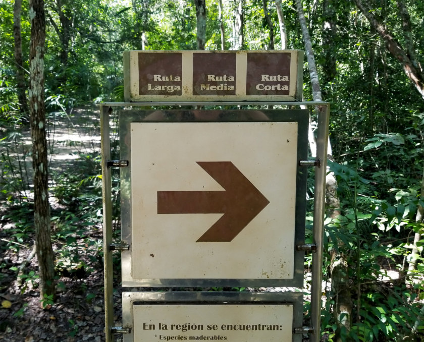 rutas sugeridas calakmul