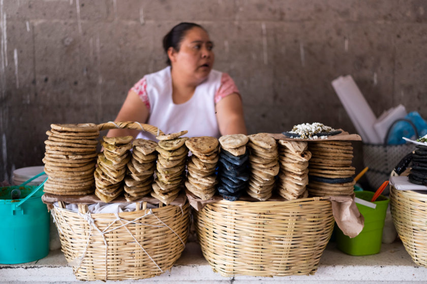 tlacoyo mexique