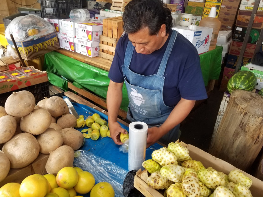 tuna-fruit-mexique