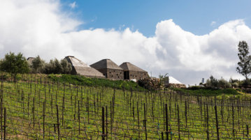 vignoble-mexique-clos-de-tres-cantos