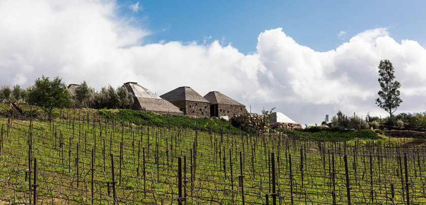 vignoble-mexique-clos-de-tres-cantos