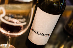 vignoble-mexique-vinicola-retorno