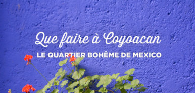 Visiter Coyoacan: Top 15 des lieux à voir absolument!