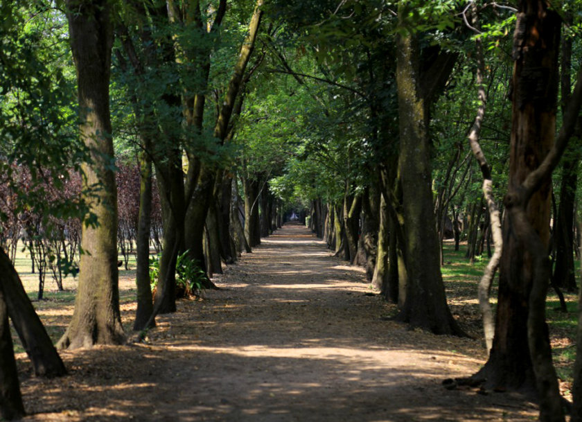 viveros-coyoacan