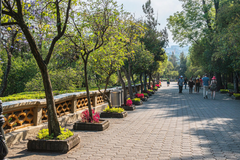 bosque chapultepec