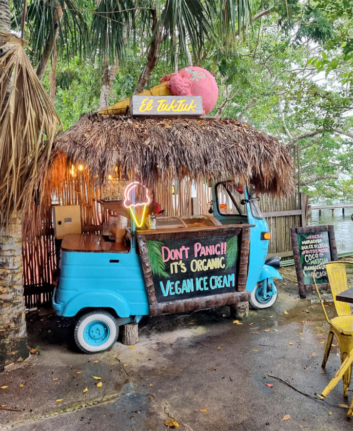 helados veganos bacalar