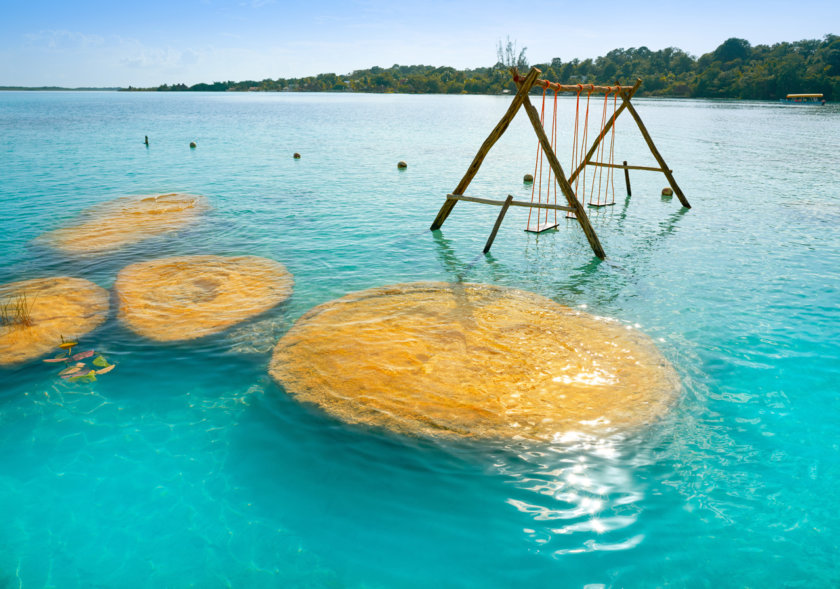 bacalar cocalitos