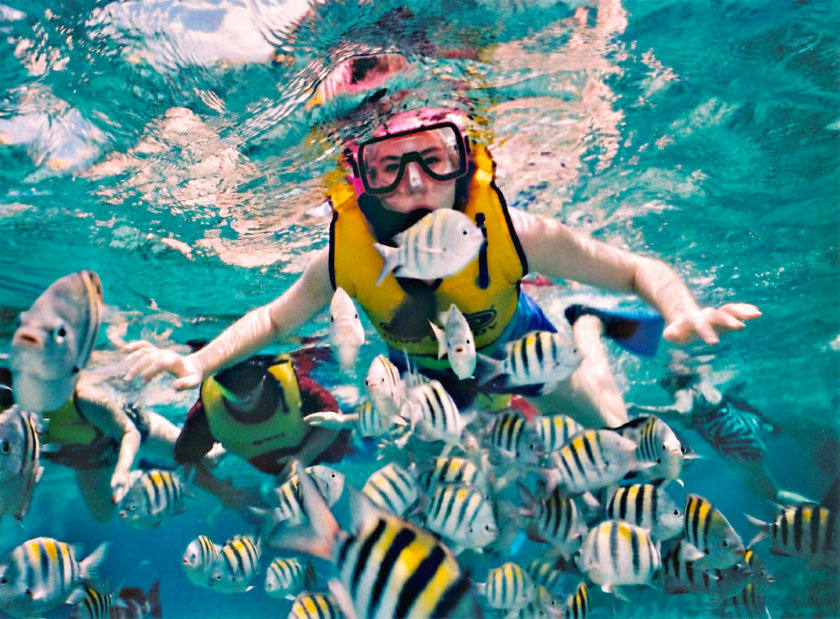 cozumel-snorkeling