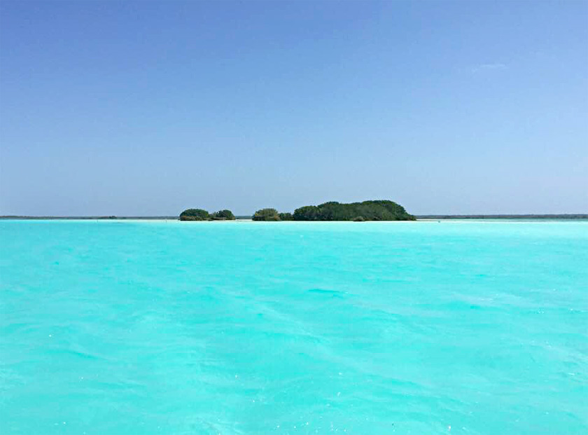 isla de los pajaros bacalar