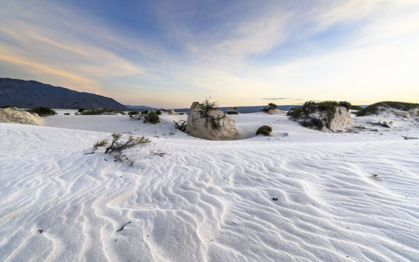 dunes-cuatro-ciénegas-coahuila