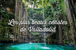 cenotes-valladolid