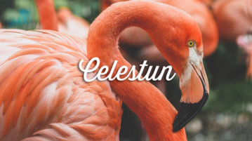 celestun