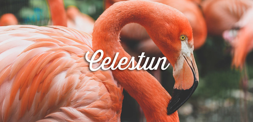 celestun