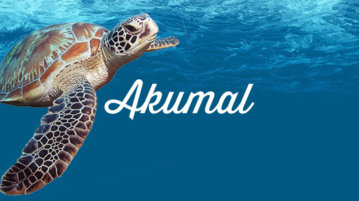 akumal mexique