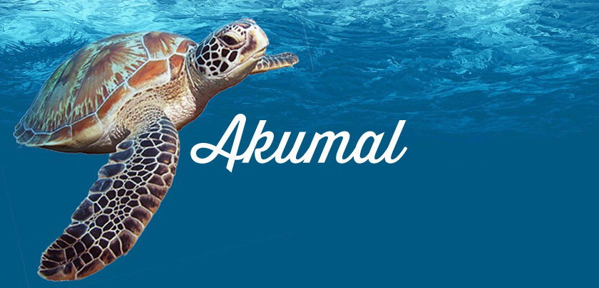 akumal mexique