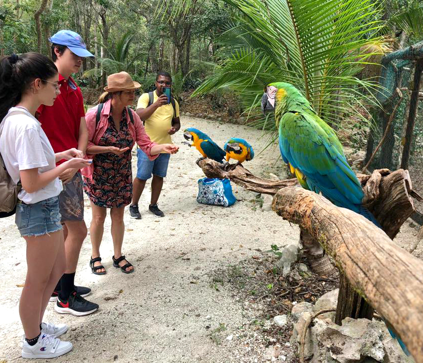 akumal natura rescue