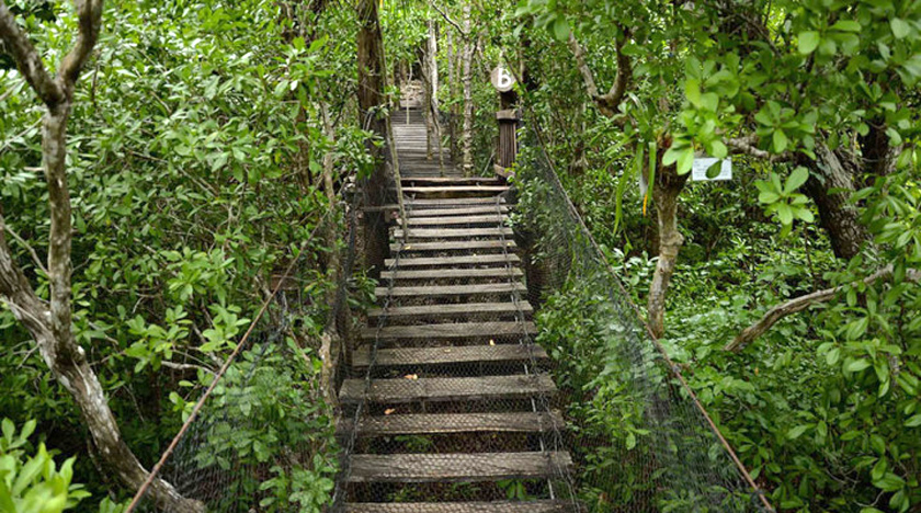 jardín botánico de Puerto Morelos