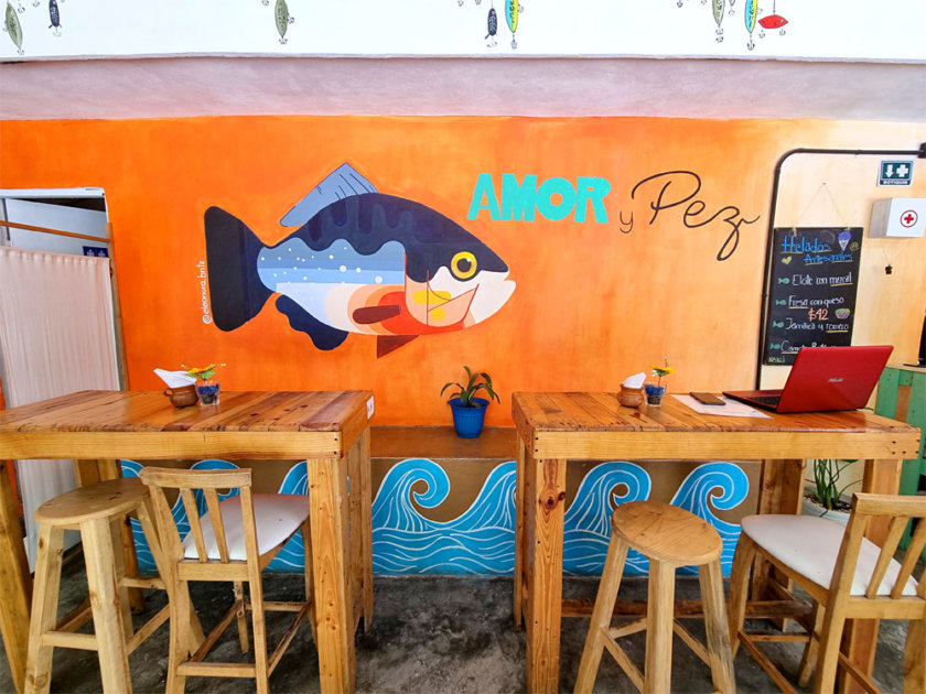 restaurante puerto morelos amor y pez