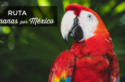 ruta-méxico-2-semanas