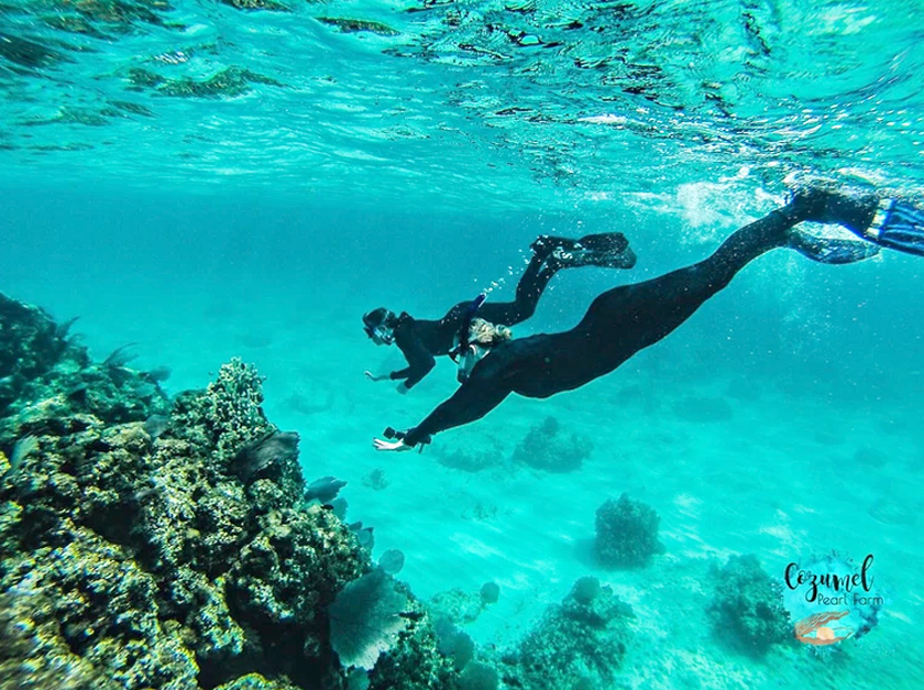 cozumel pearl farm