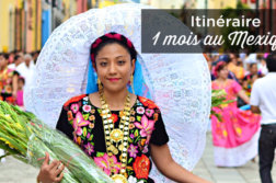 1-mois-mexique
