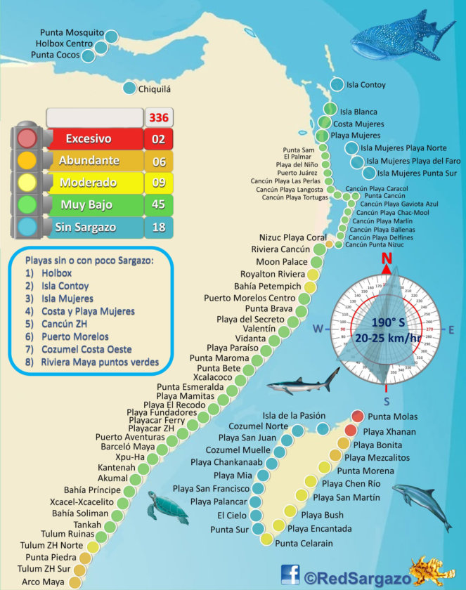 Visiter Playa del Carmen: TOP 30 à Faire et Voir | Mexique 2023