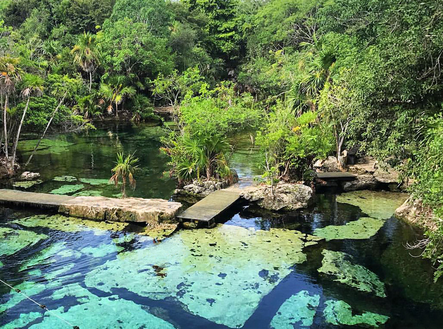 cenote azul playa del carmen