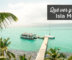 que-hacer-en-isla-mujeres