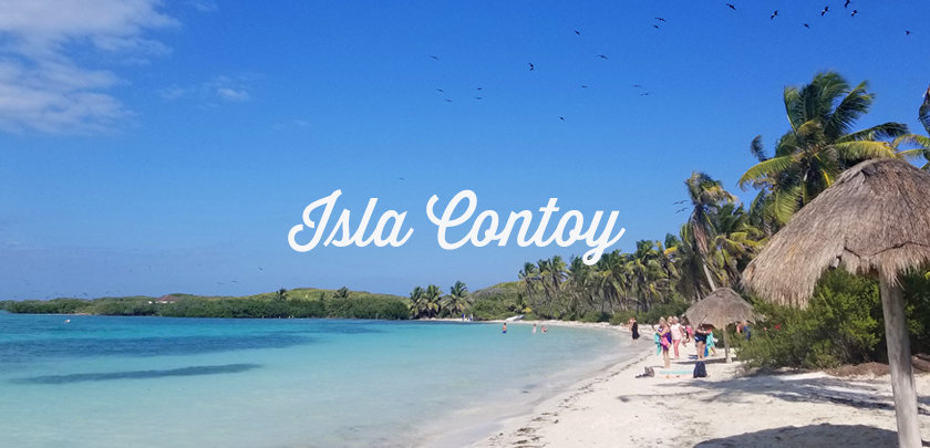 que hacer en isla contoy