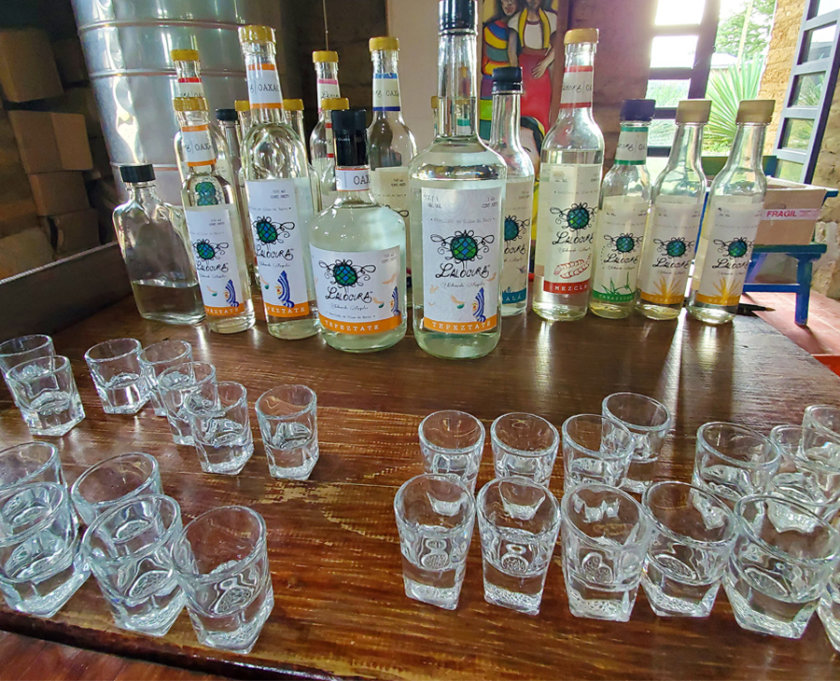 degustación mezcal lalocura oaxaca