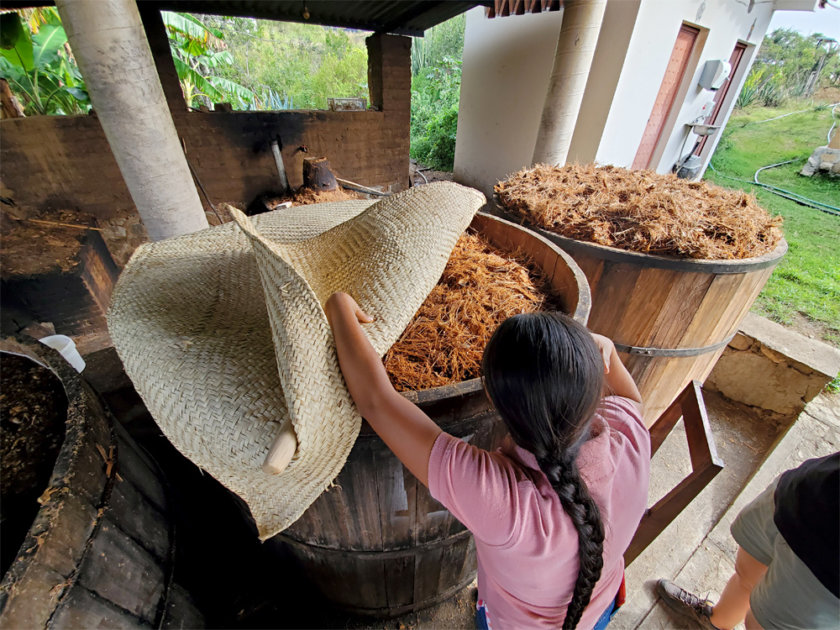 fermentación-agave-oaxaca-lalocura