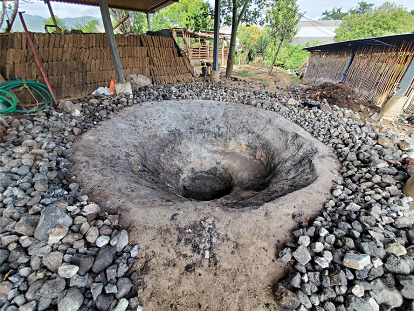 horno agave