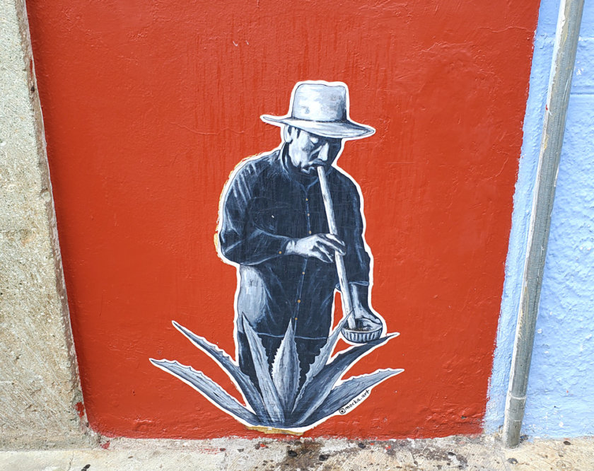 street art oaxaca