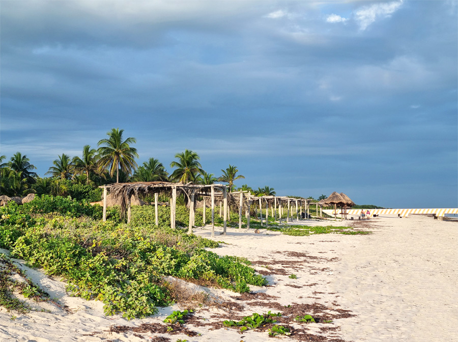 El Cuyo (Yucatán) Qué ver y hacer en 2023 México El Cuyo (Yucatán) Qué ver y hacer en 2023 México