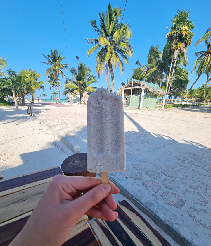 paleta el cuyo