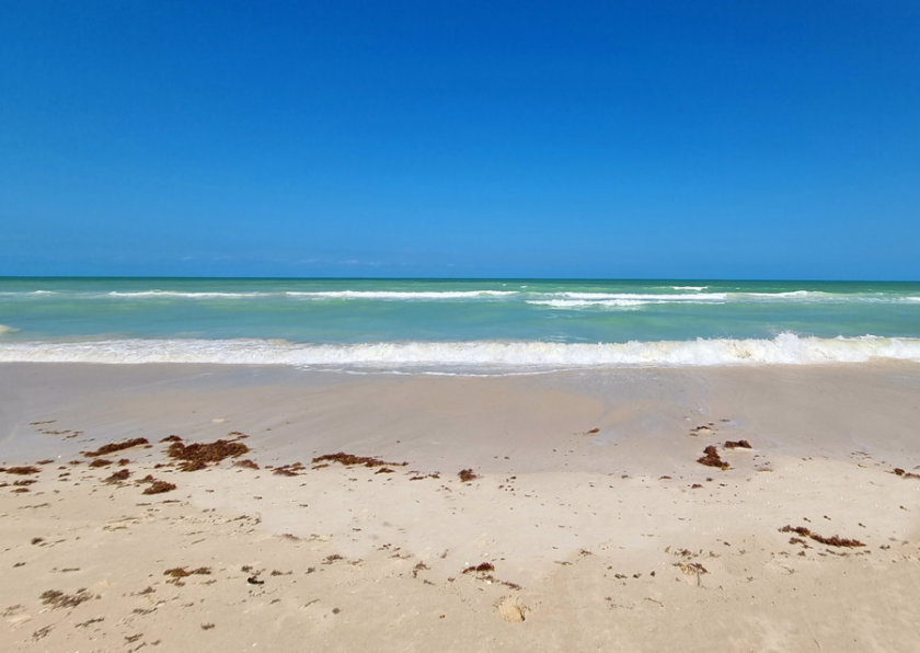 playa reserva de Ría Lagartos