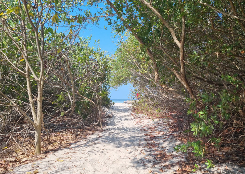 arrivée-playa-la-lancha