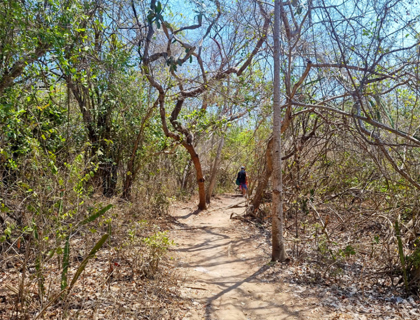 road-playa-la-lancha-punta-mita