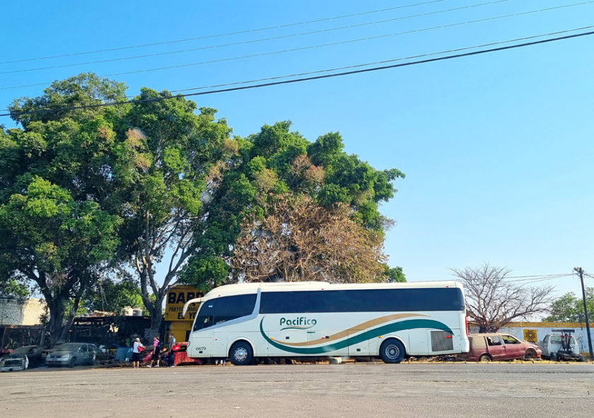 bus puerto vallarta